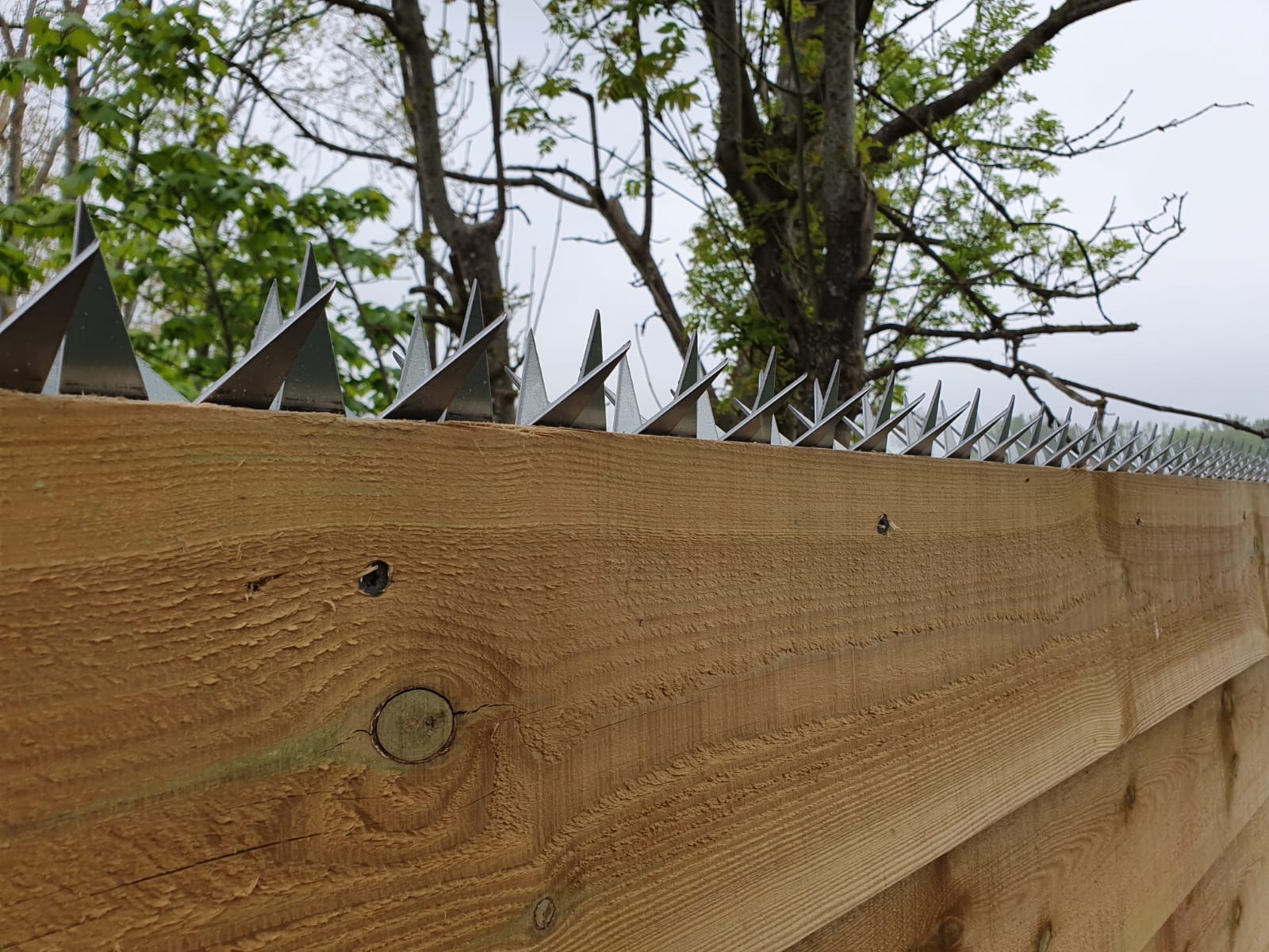 Anti Klim Strips Voor Schuttingen 1 Meter - Per Stuk, foto 4 van 5