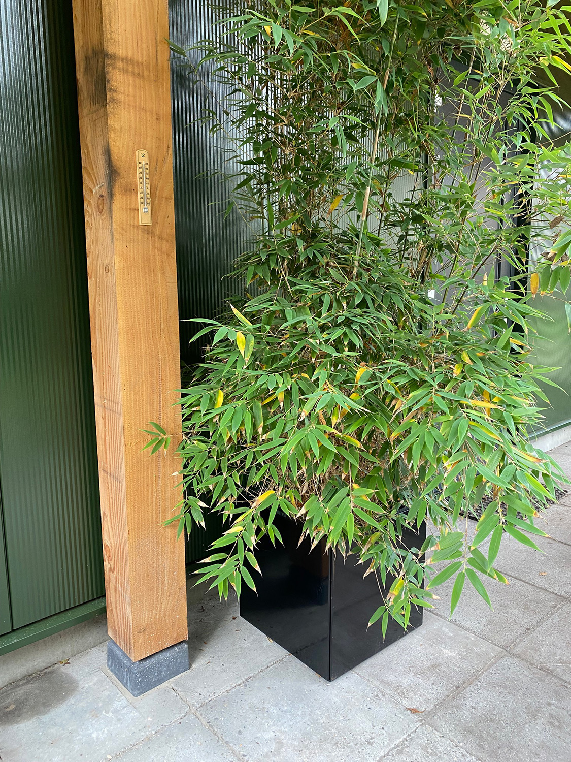 Plantenbak Zwart Verzinkt Staal 40 x 40 x 40 cm - Bloembak