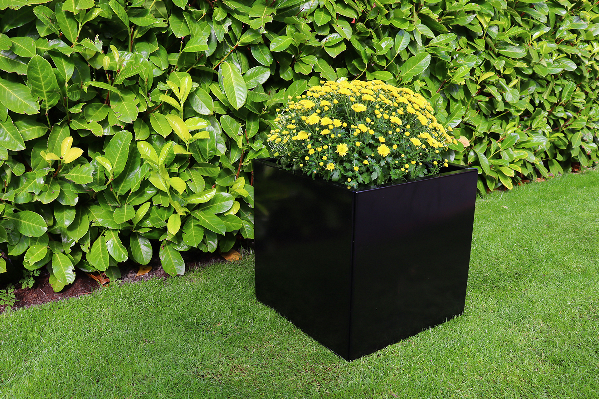 Plantenbak Zwart Verzinkt Staal 50 x 50 x 50 cm - Bloembak, foto 4 van 6