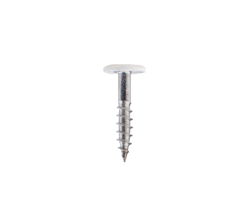 Kleurkopschroeven Wit rvs 4.8 x 25 mm - Doos 100 Stuks, foto 3 van 3