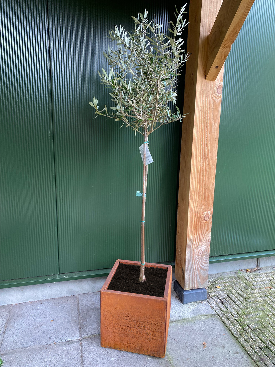 Cortenstaal Plantenbak 40 x 40 x 40 cm - Bloembak