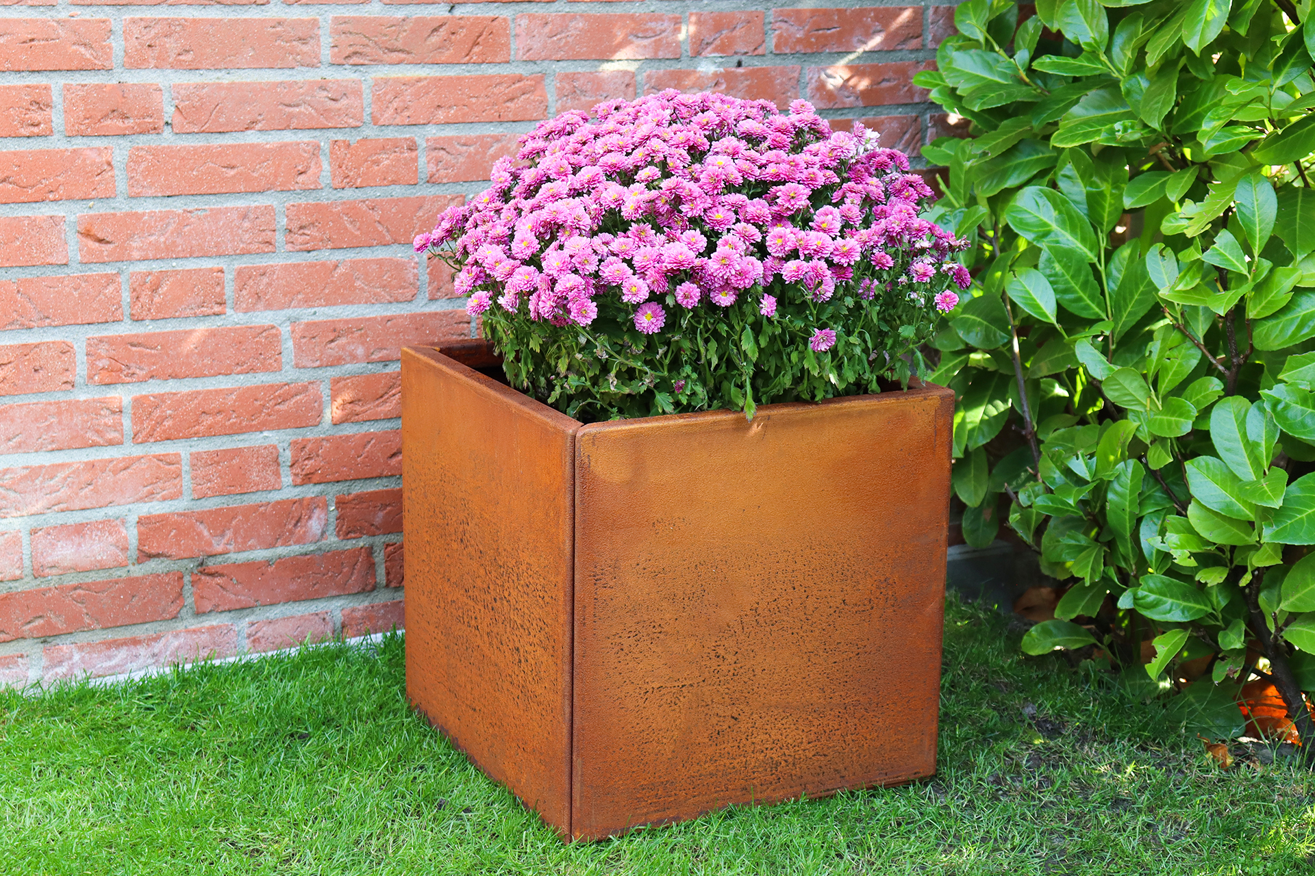 Cortenstaal Plantenbak 50 x 50 x 50 cm - Bloembak, foto 4 van 4