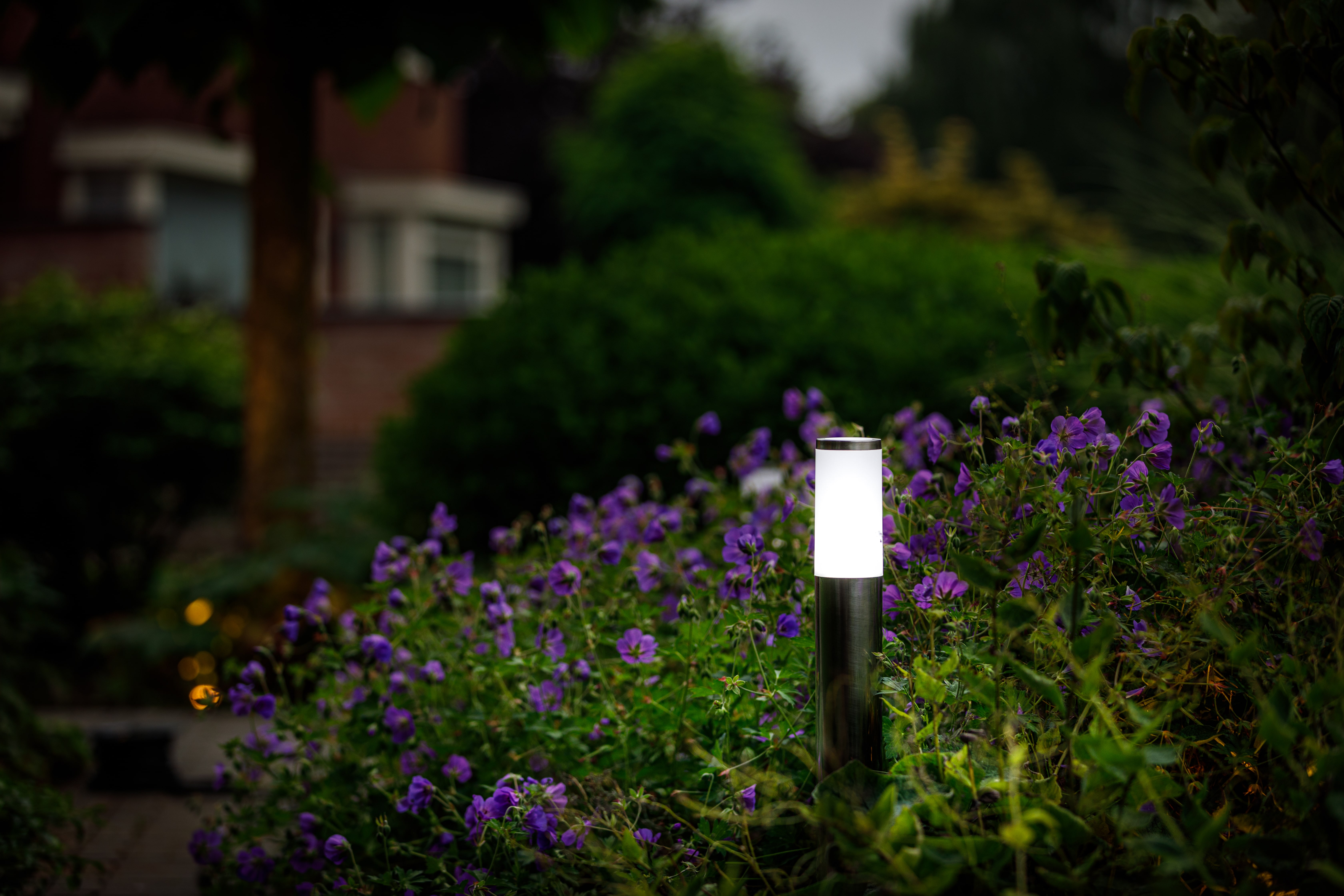 Garden Lights Staande buitenlamp Silia 12V LED 60 cm - Tijdloos - Per Stuk, foto 3 van 4
