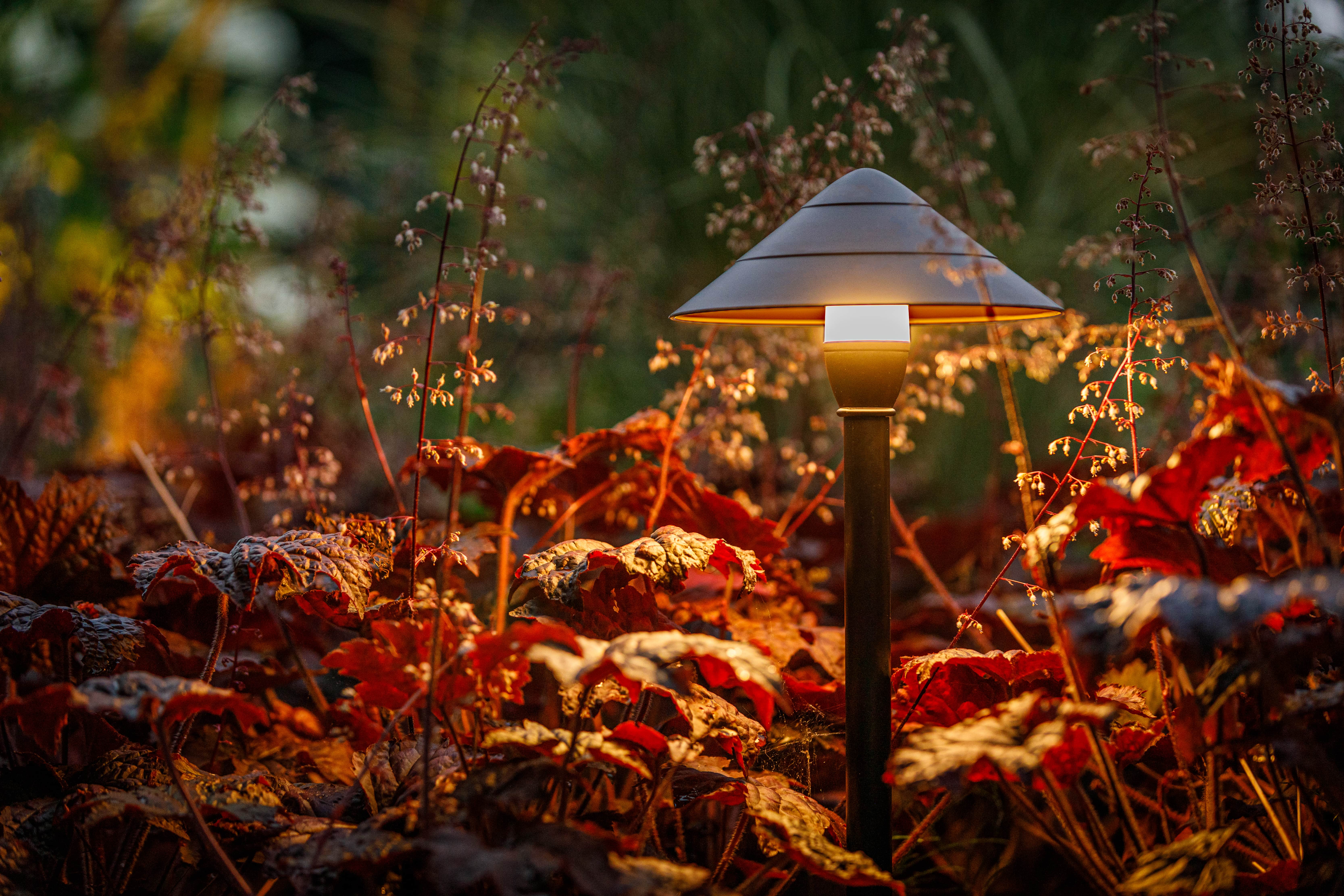 Garden Lights Staande tuinlamp Ceto 12V LED 44 cm - Per stuk, foto 3 van 4