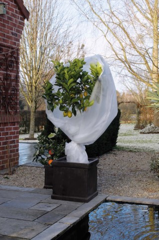 Beschermhoes Planten Wit 200 x 1000 cm - Per Stuk, foto 4 van 4