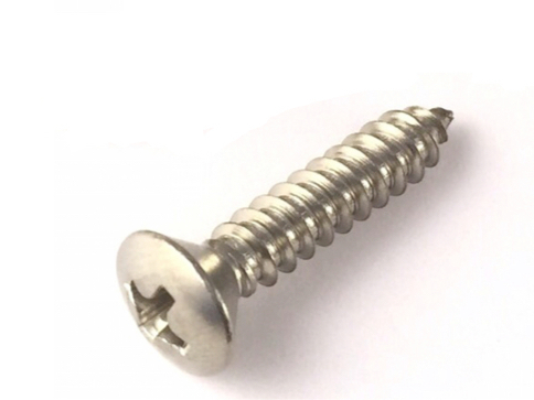 Zelftappers RVS 4.8 x 25 mm met Lenskop - 200 Stuks