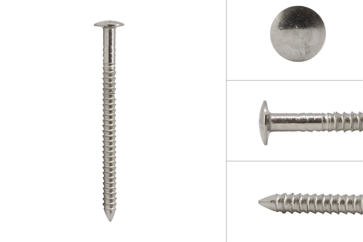 Bolkop Ringnagels voor Gevelbekleding RVS A4 2.6 x 40 - Doos 320 Stuks