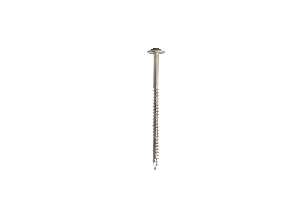 Tellerkopschroeven RVS A2 6.0 x 100 mm Torx - Doos 100 Stuks, foto 2 van 3