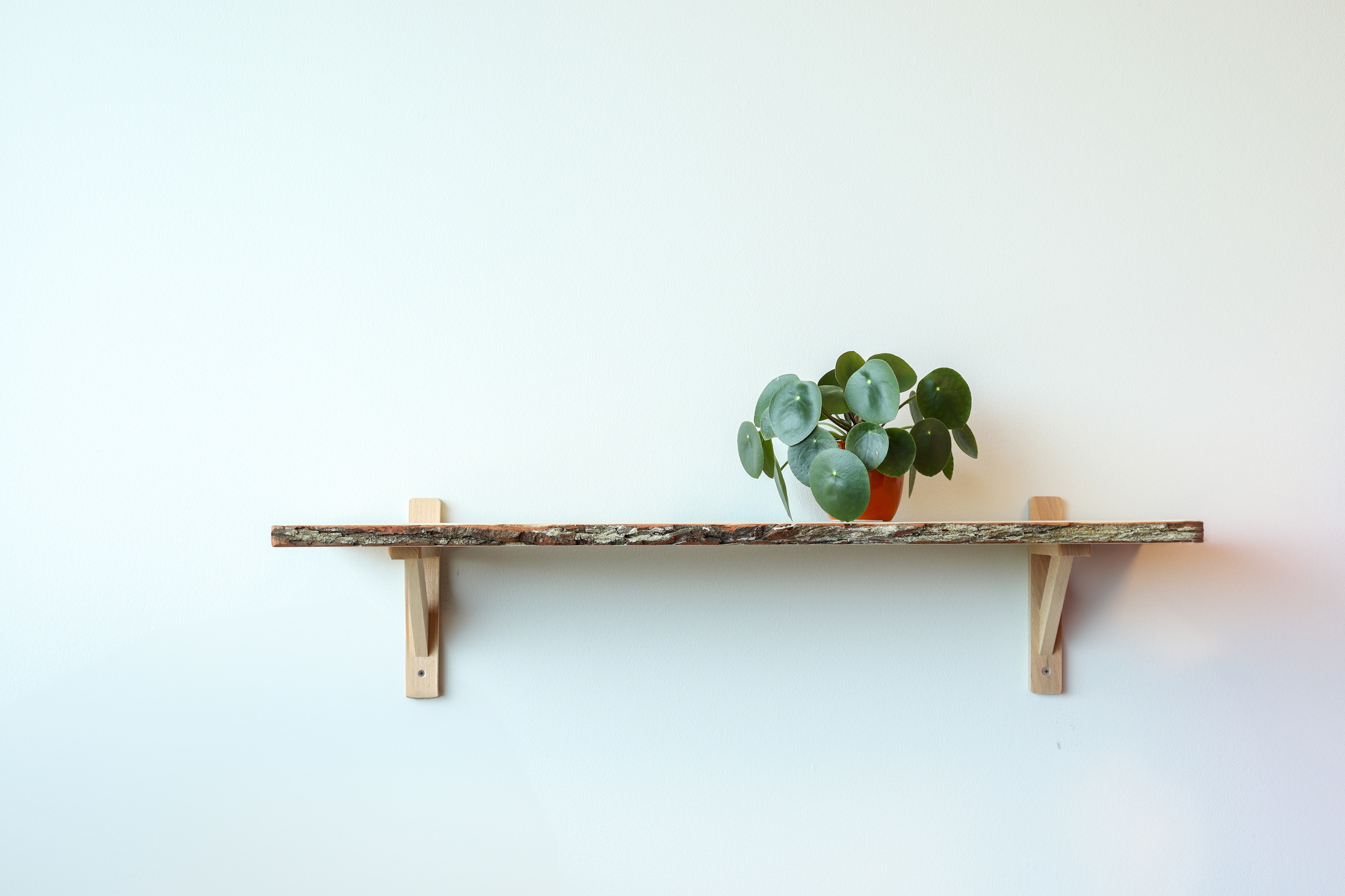 Houten Plankdrager 20 x 25 cm Beuken - Per Stuk, foto 2 van 2