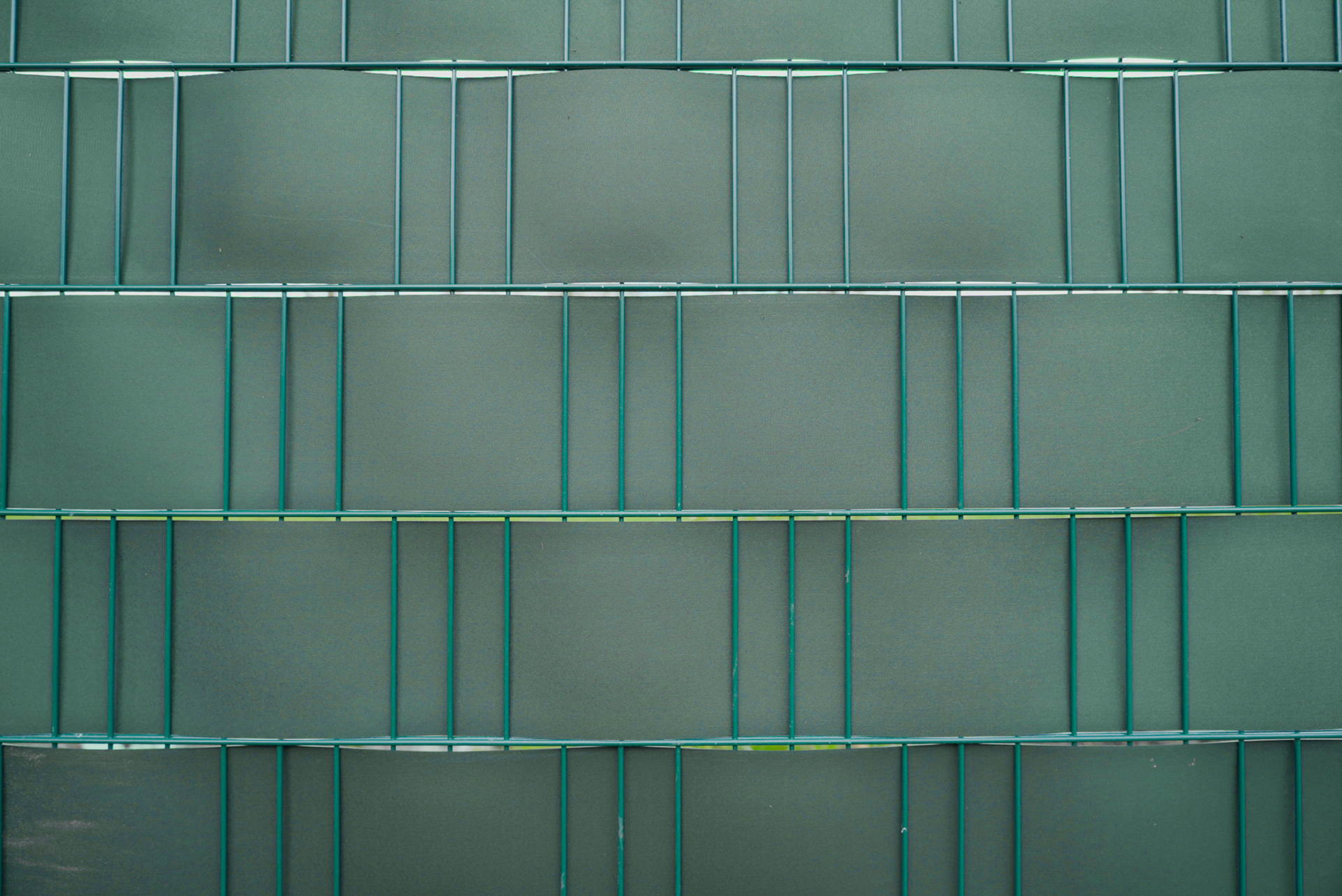 Vlechtband Groen 50m UV-bestendig - Per Stuk, foto 4 van 6