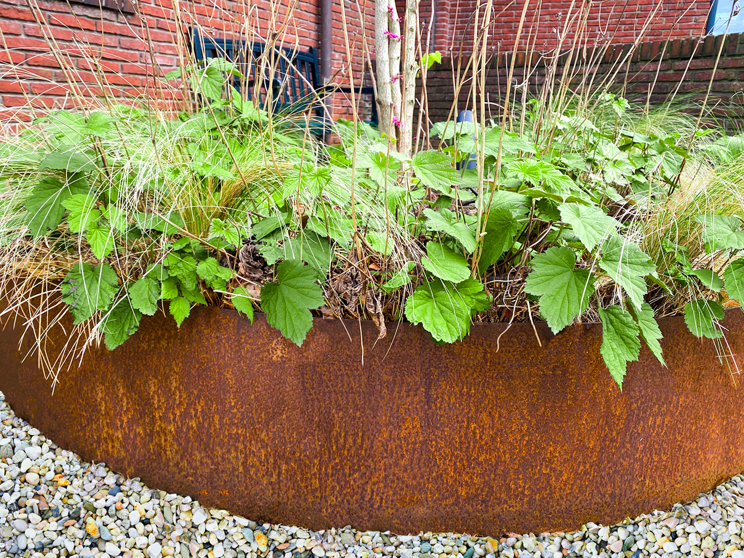 Cortenstaal Borderrand 40 x 106 cm Flexibel - 5 Stuks, foto 6 van 6