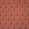 Dakshingles