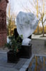 beschermhoes_planten_200_x_500_cm
