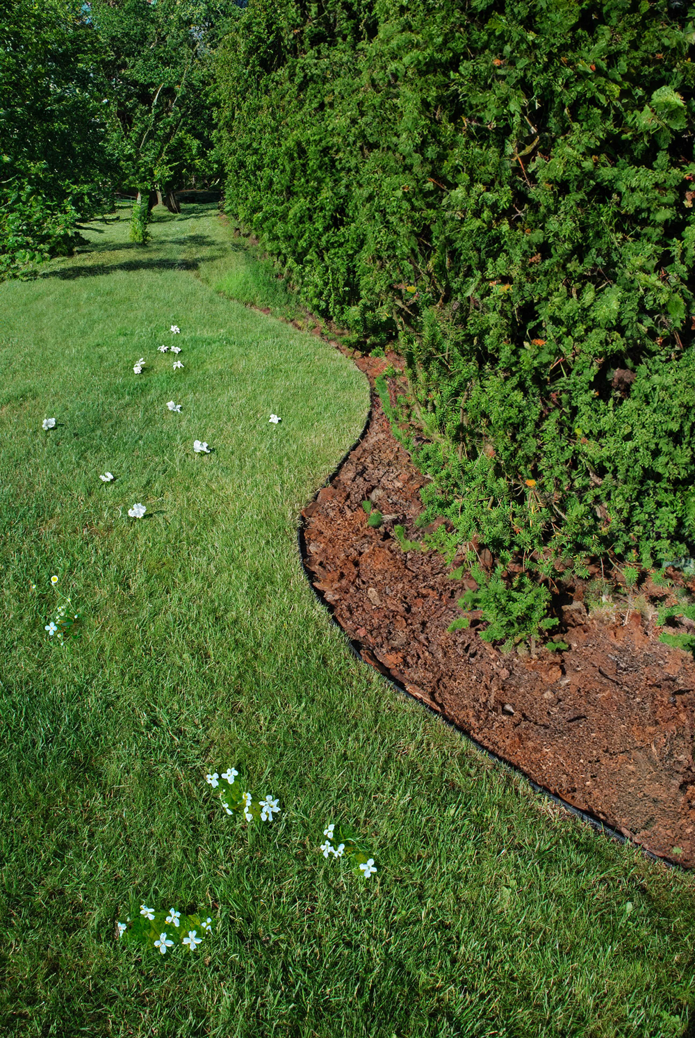 Grasborderzwarttegels