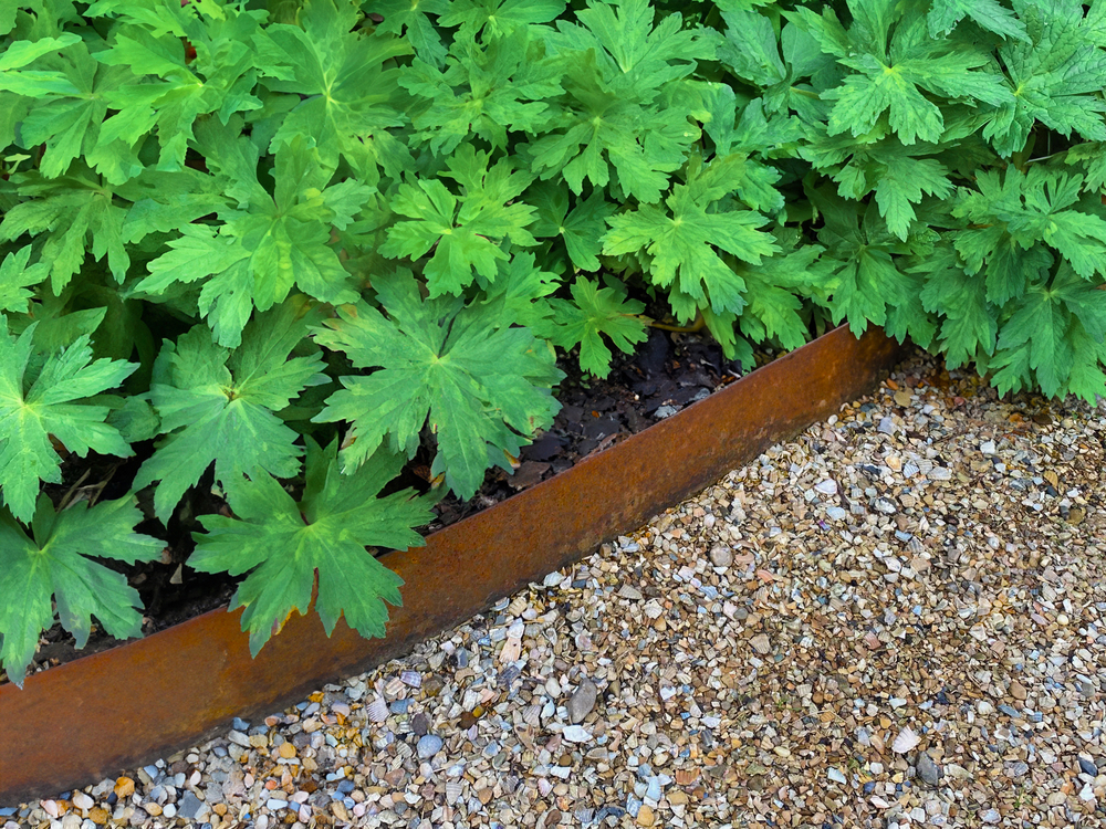 Bordura Per Giardino In Acciaio Corten – Garden Cor-Ten – H 15,2 Cm X 3 M – Colore Nero
