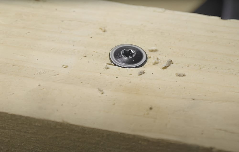 Tellerkopschroevenzwartekop