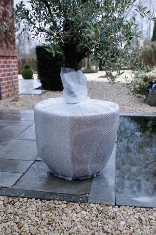 noppenfolie_planten_wit_100x300cm