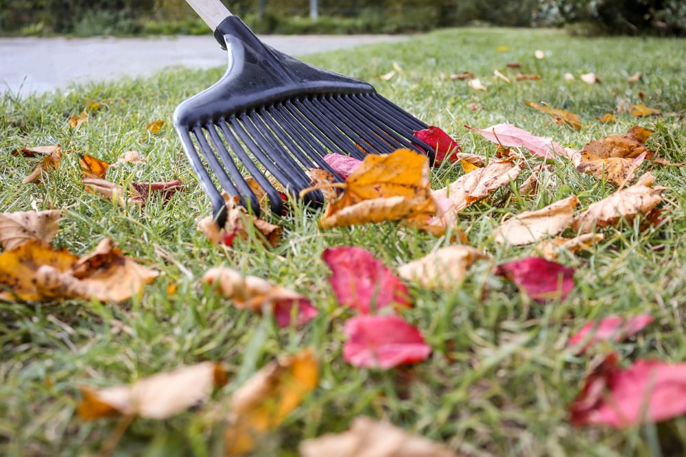 Herfsttuingereedschap_20_2_2_