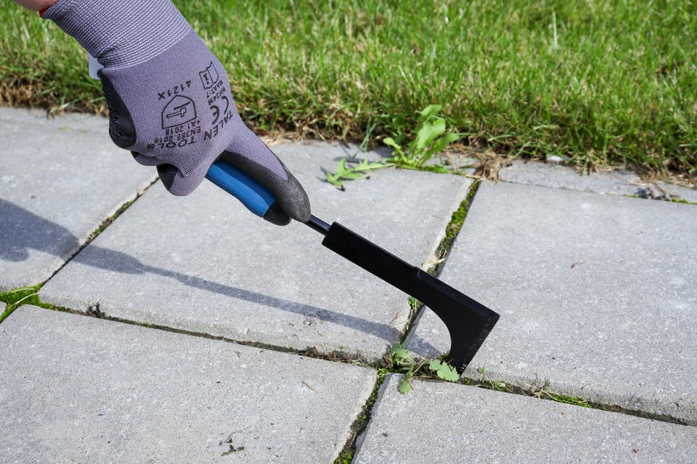 Herfsttuingereedschap_27