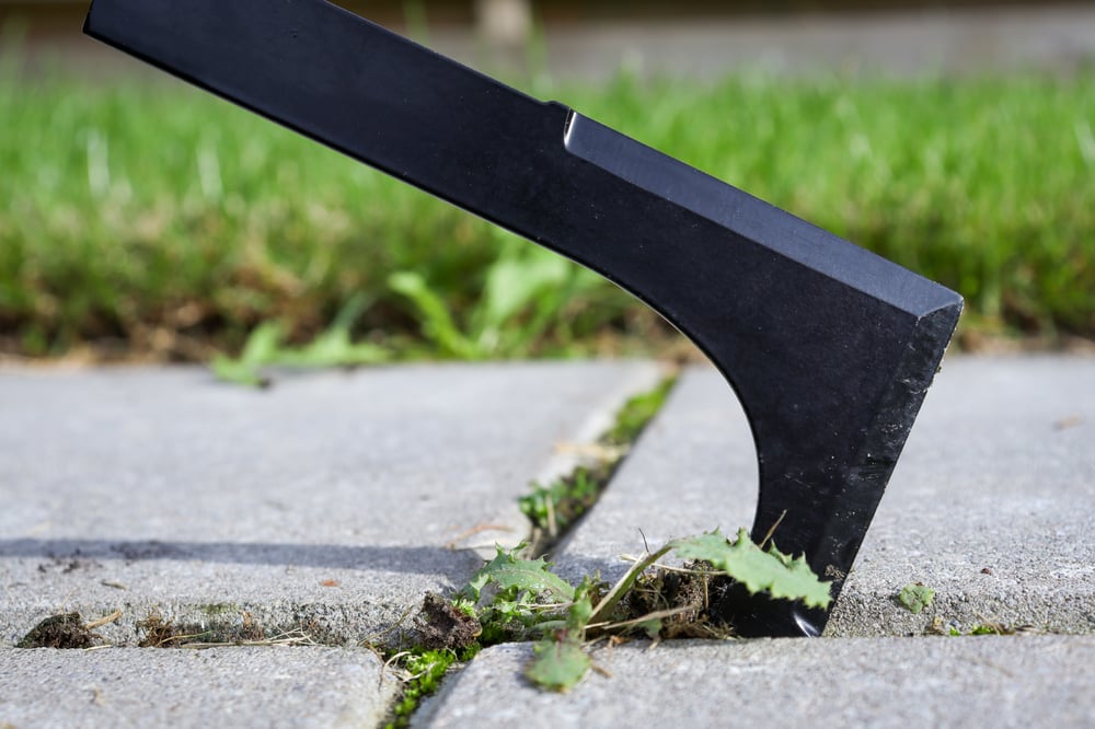 Herfsttuingereedschap_28