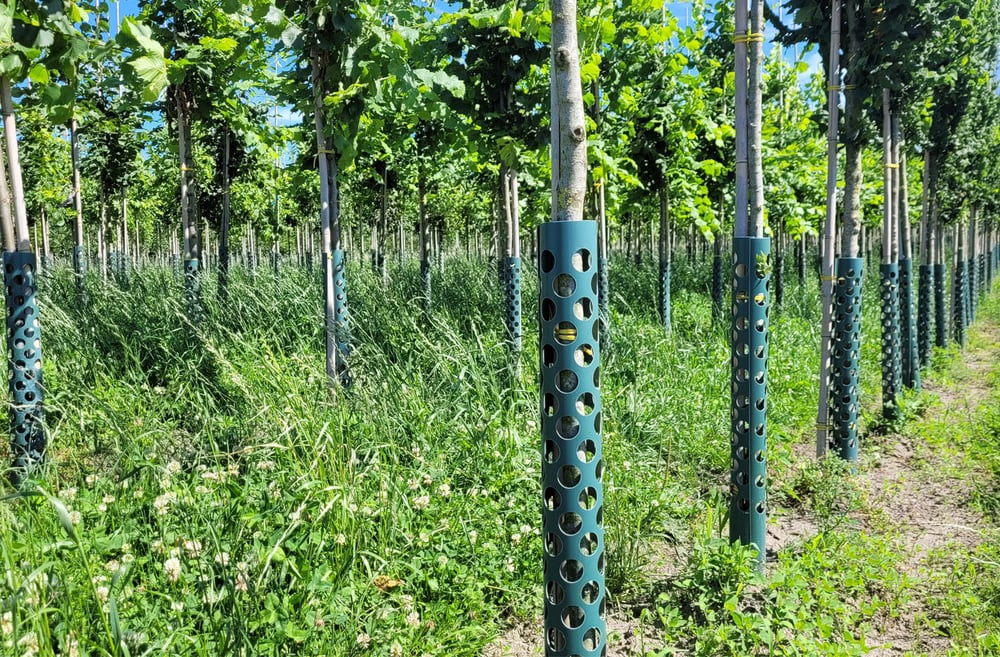 boombeschermerssfeer