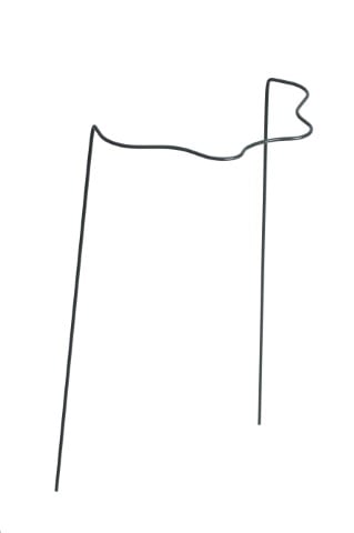 plantensteun_sierlijk