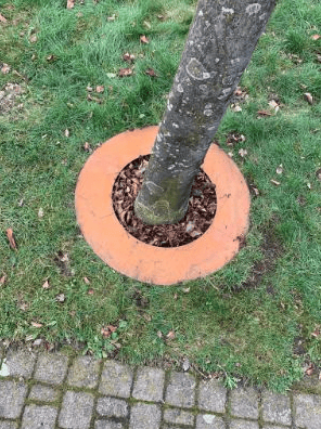 cortenstaal_boomring_voor_om_boom_2