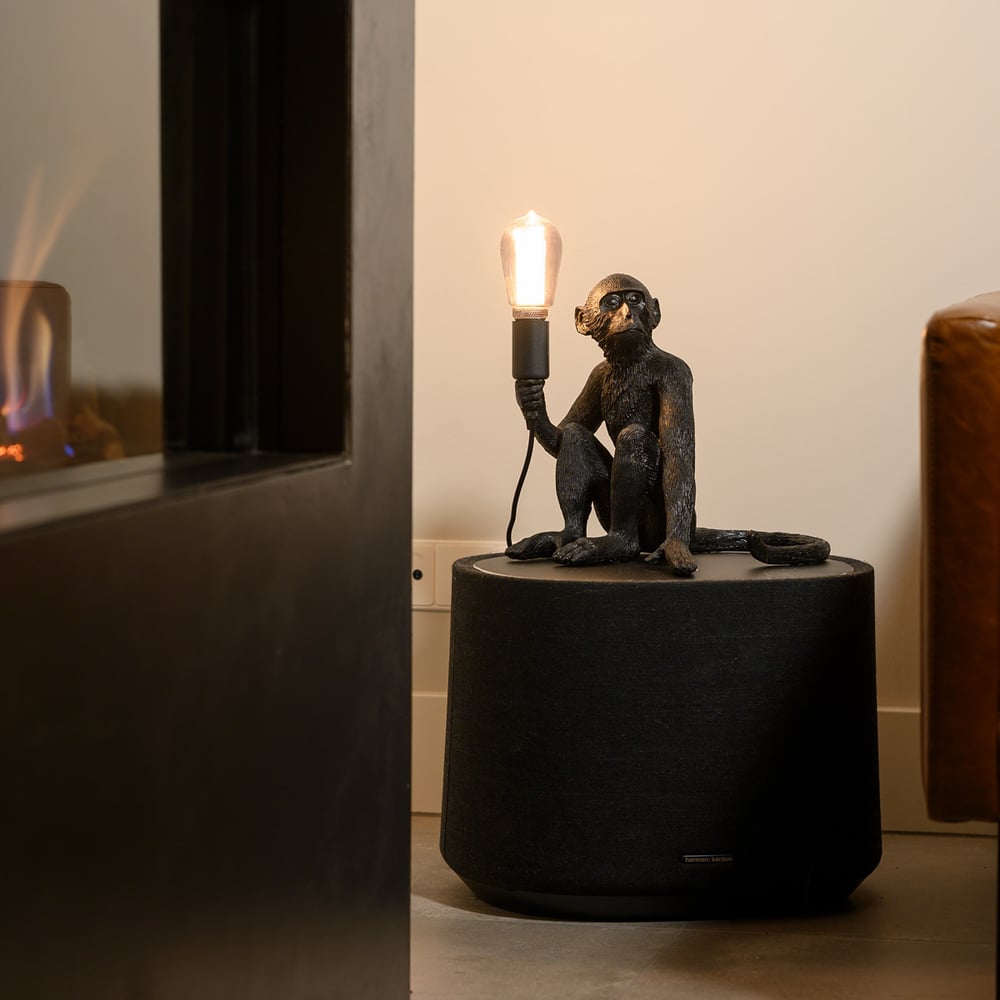 aaplamp_zittend_zwart