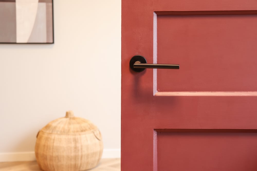 TeramoZwartrondrozetopauberginedeur_2