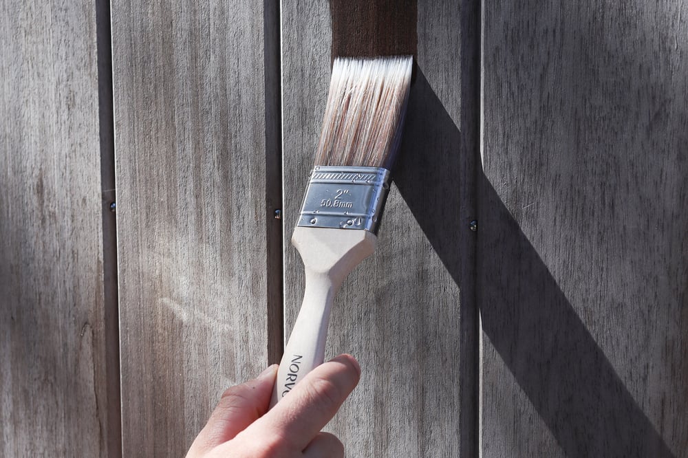 Norvoplattekwastmaat50Sfeer2