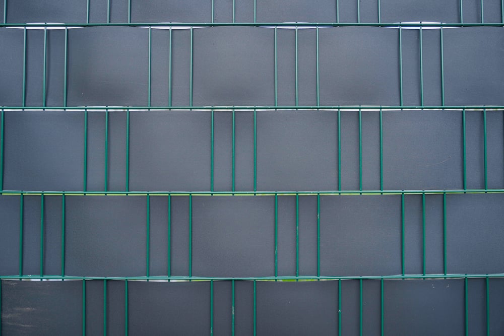 Vlechtbandsfeerfoto2