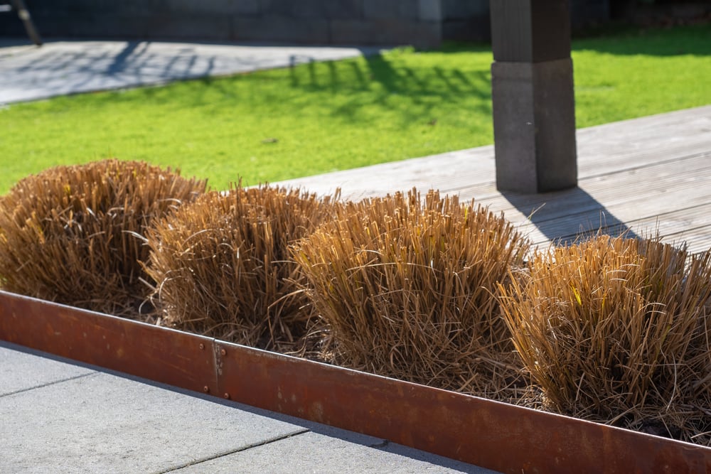 Wovar_LuxeBorderranden_5