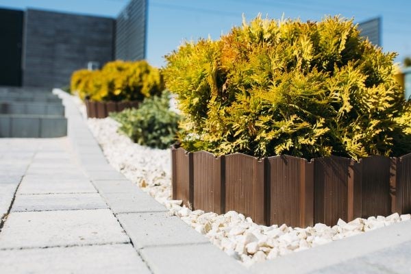 palissaderand_bruin5