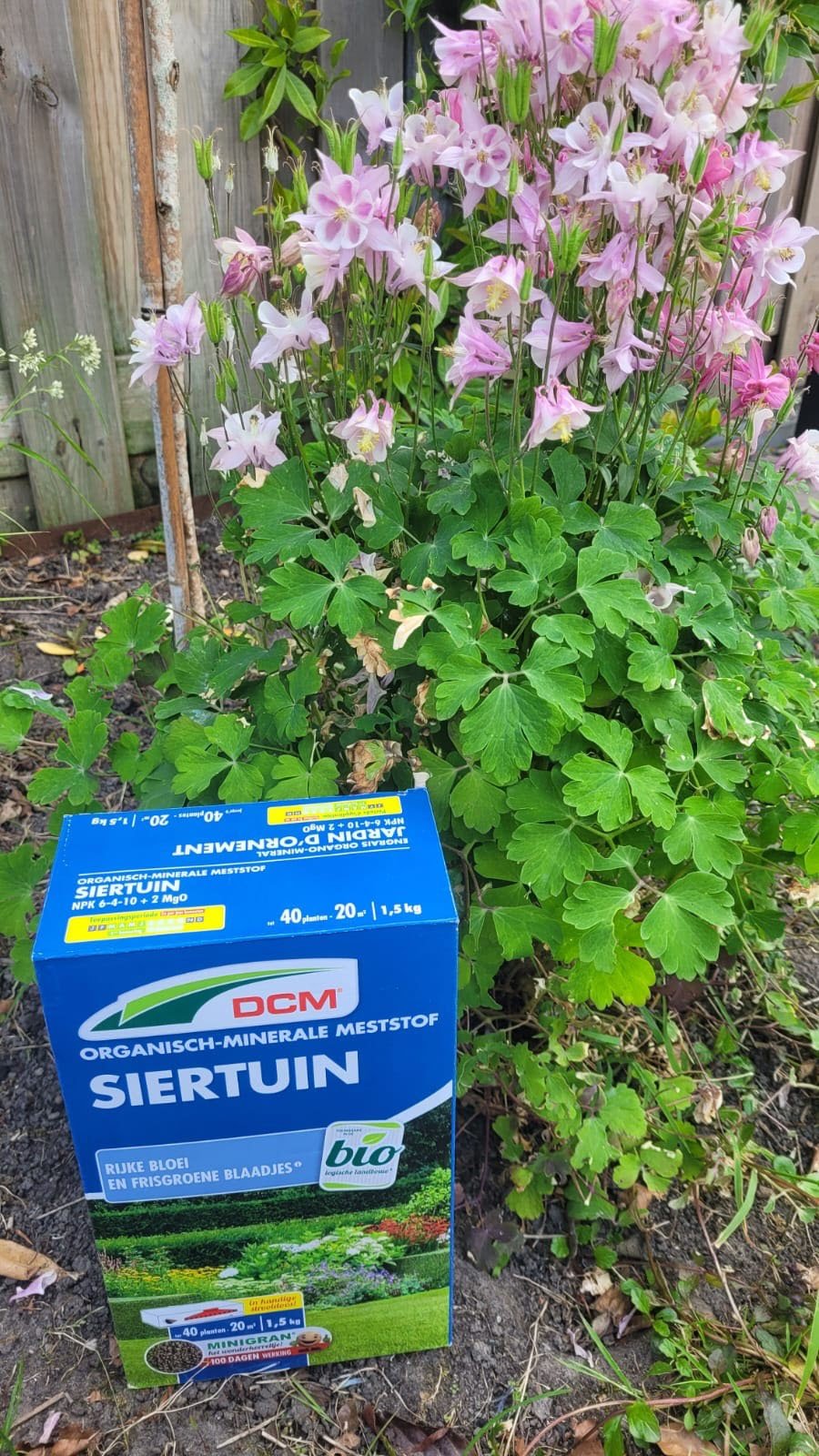 siertuin2_optimized