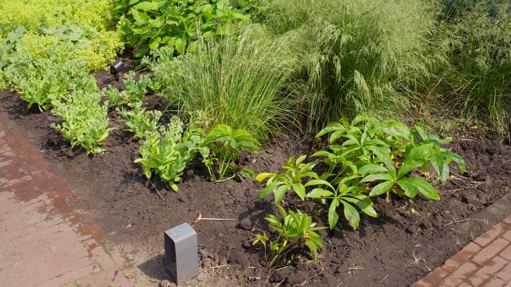 infiltratiekrattuinsfeer