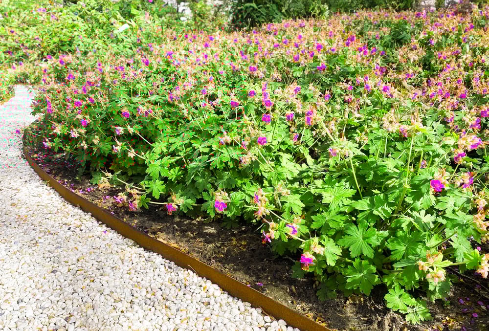 borderrand_cortenstaal2