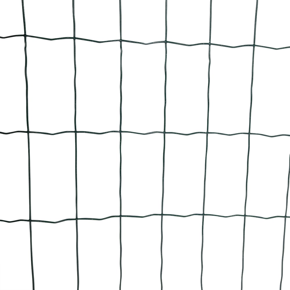 Tuingaas_groen_Wovar