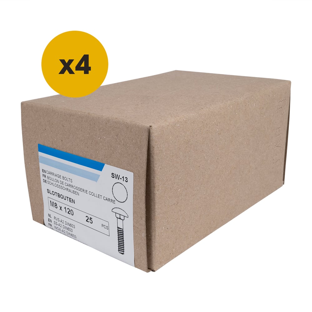 SlotboutenRVSM10x120mm_doosje