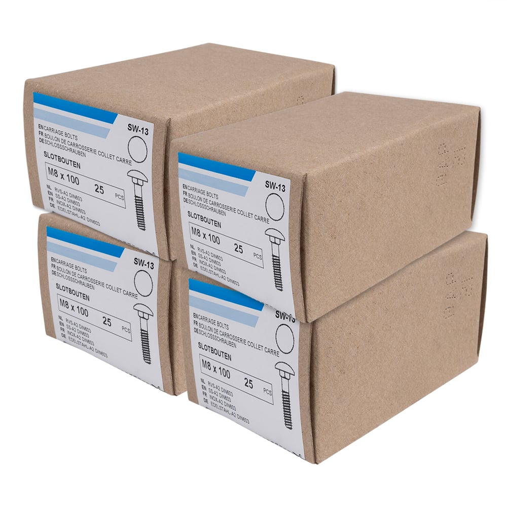 SlotboutenRVSM8x100mm_doosjes