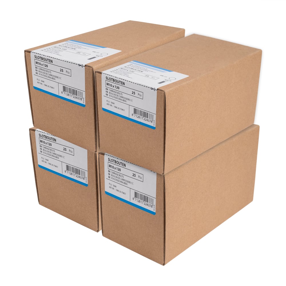 SlotboutenRVSM10x120mm_doosjes1