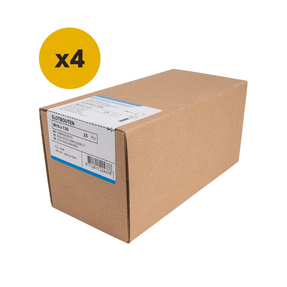 Slotbouten_RVSM10x120mm_doosje