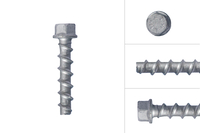 betonschroeven_verzinkt_m8_x_60_mm_zeskantkop_sw13_per_stuk