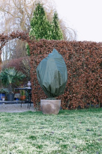 i_beschermhoes_planten_met_koord_groen_75cmx150cm_jpg