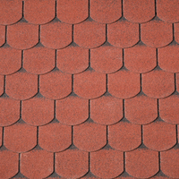 40x9981_p01_1920x1920