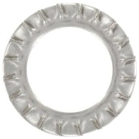 tandveerring_rvs_2