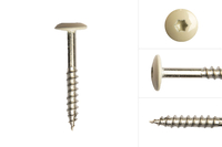 kleurkopschroeven_beige_rvs_48_x_38_mm_doos_100_stuks