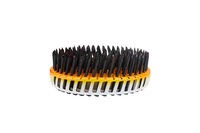 BolkopRolnagelsZwartAR_coating_2_5_2_7x50mm_Rol200stuks