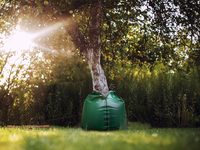 Waterzakvoorboom_Gelijkmatigebewateringvoorbomen_650gram_PerStuk