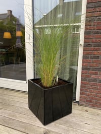 zwarte_vierkante_plantenbak_siergras