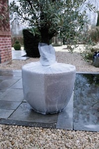 noppenfolie_planten_wit_100x300cm